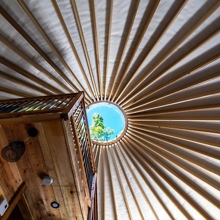 Yourtes Glamping Du Poisson Blanc Notre-Dame-du-Laus Exteriör bild